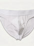 Artemis Brief Underwear